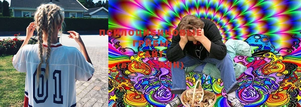 MESCALINE Елизово