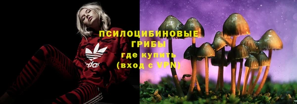 MESCALINE Елизово