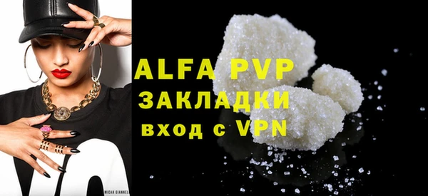 гидра Ельня