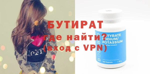 гидра Ельня