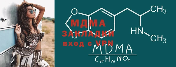 гидра Ельня