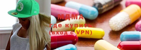 гидра Ельня