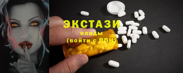 гидра Ельня