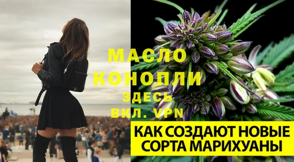 MESCALINE Елизово