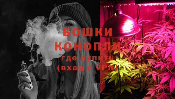 гидра Ельня