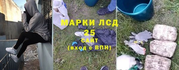 гидра Ельня