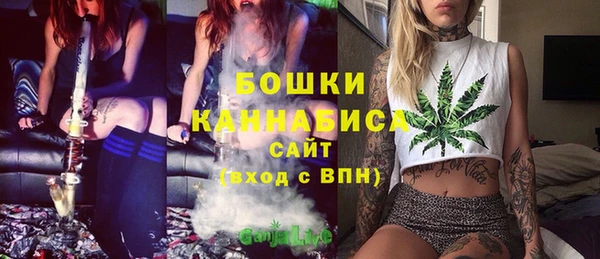 гидра Ельня