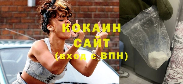 гидра Ельня