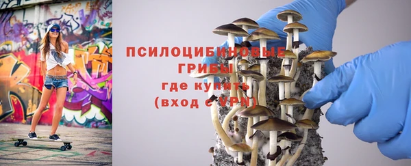 гидра Ельня