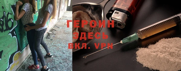 гидра Ельня