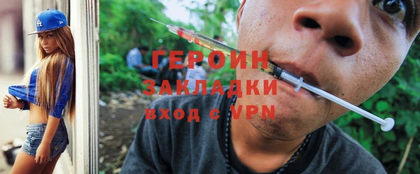 гидра Ельня