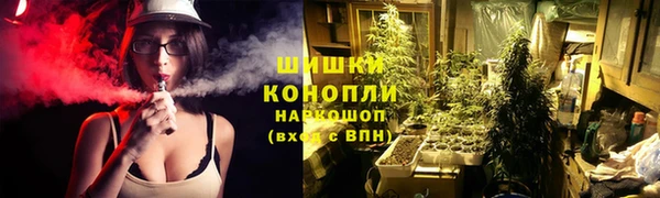 гидра Ельня