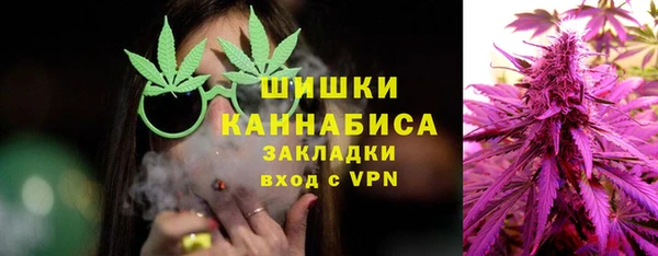 гидра Ельня