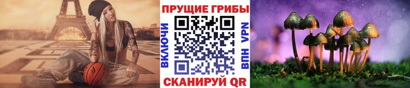 Галлюциногенные грибы мицелий  Купить закладки  Любань 